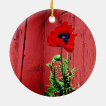 Typical Swedish Falun red color