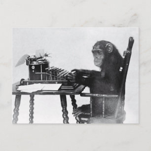 Typing Monkey Postcard