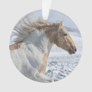 Tyr Runs in the Snow Ornament