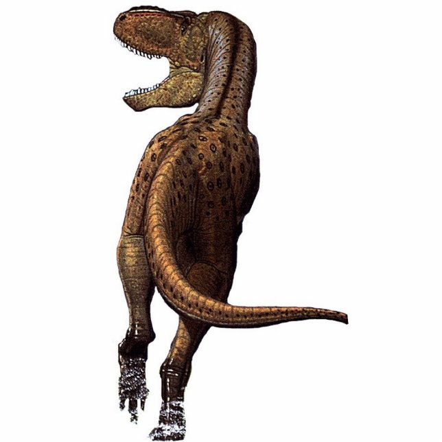 Tyrannosaur Dinosaur Photo Sculpture (Front)