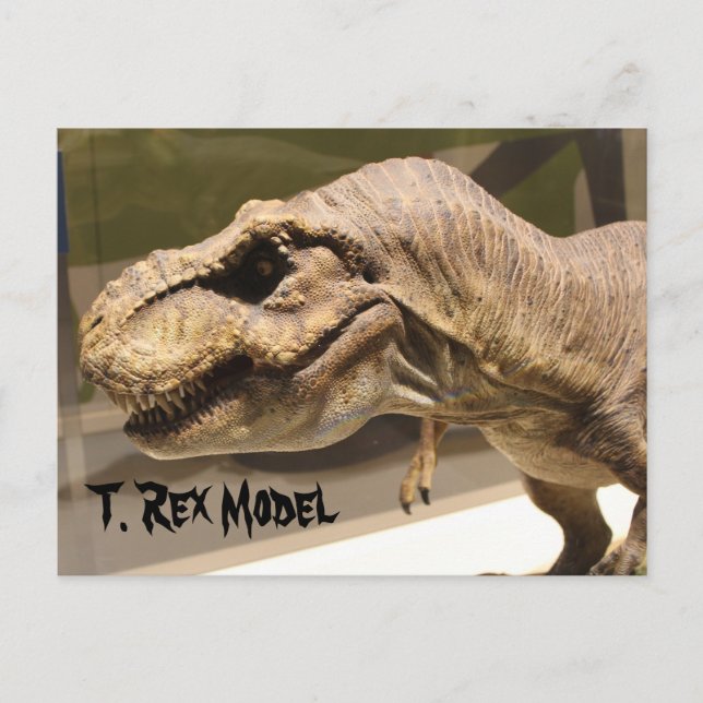Tyrannosaurus Model Postcard (Front)