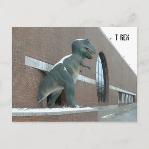 Tyrannosaurus Rex Postcard