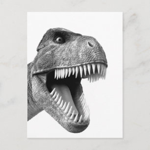 Tyrannosaurus Rex Postcard