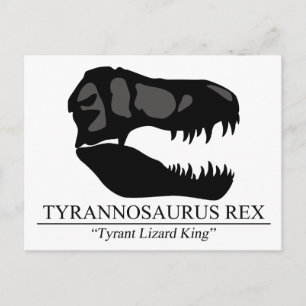 Tyrannosaurus Rex Skull Postcard