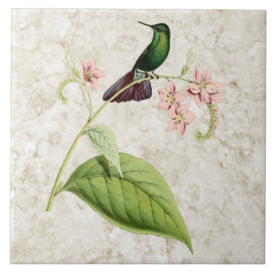 Tyrian Metal Tail Hummingbird Ceramic Tile