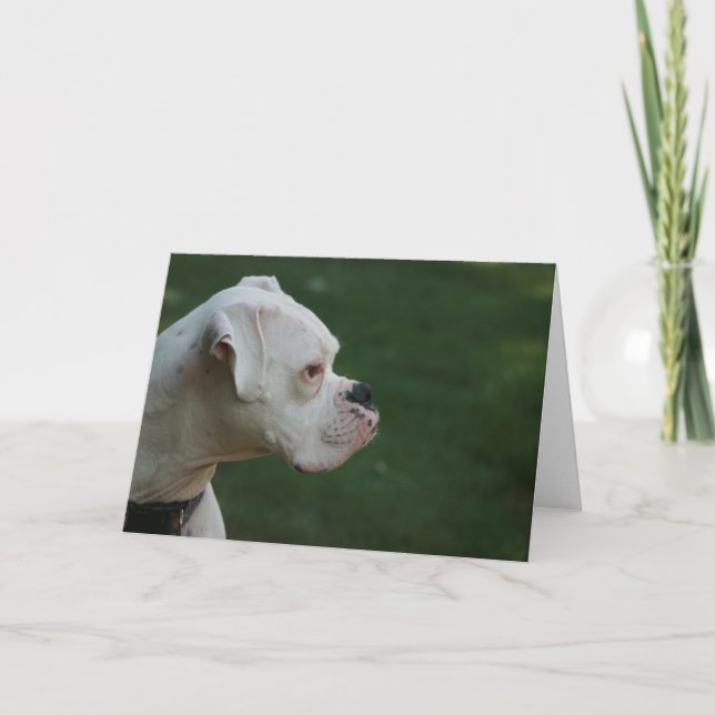 "Tyson" White Boxer Dog Photo Greeting Card (Front)