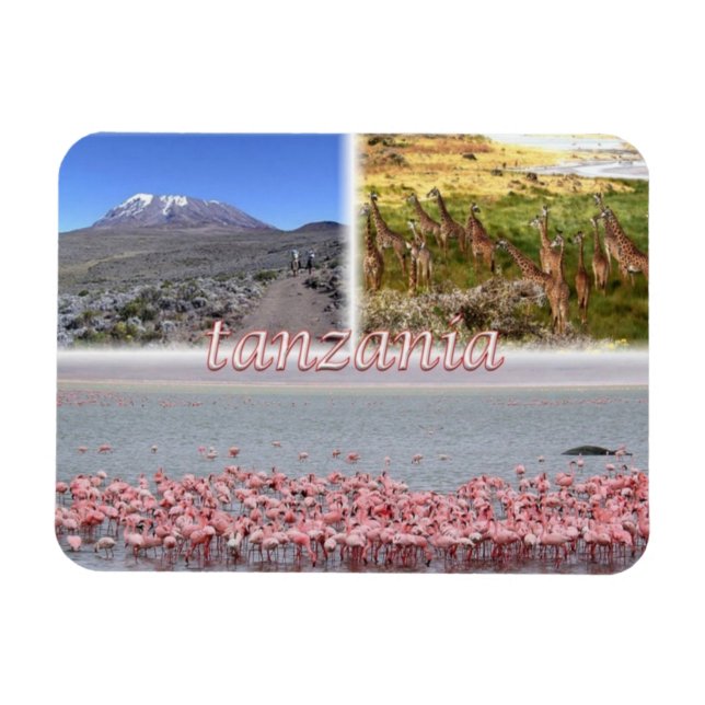 TZ Tanzania - Magnet (Horizontal)