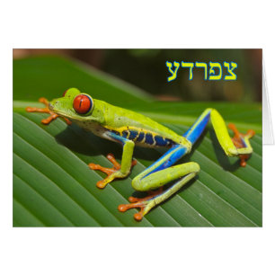 Tzefardea In Hebrew Meaning "Frog"