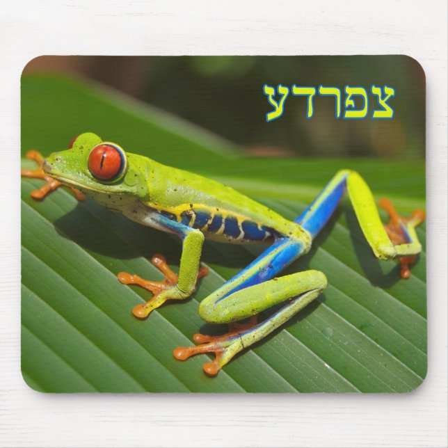 Tzefardea In Hebrew Meaning "Frog" Mouse Mat (Front)