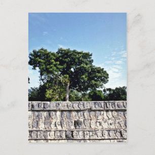 Tzompantli-Wall Of Skulls, Chichen Itza Postcard