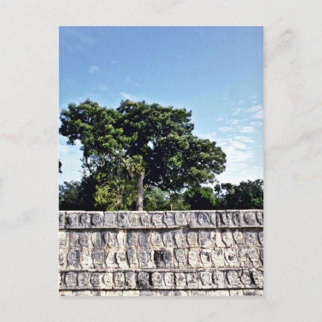 Tzompantli-Wall Of Skulls, Chichen Itza Postcard (Front)