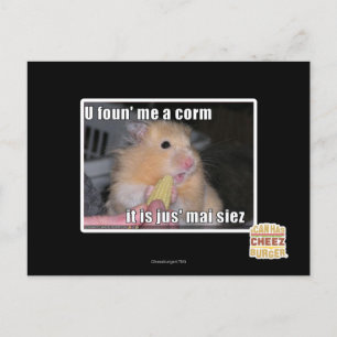 U found me a corn postcard