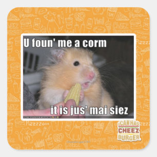 U found me a corn square sticker