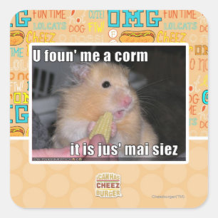 U found me a corn square sticker