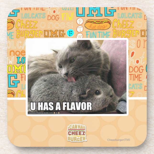U HAS A FLAVOR COASTER (Front)