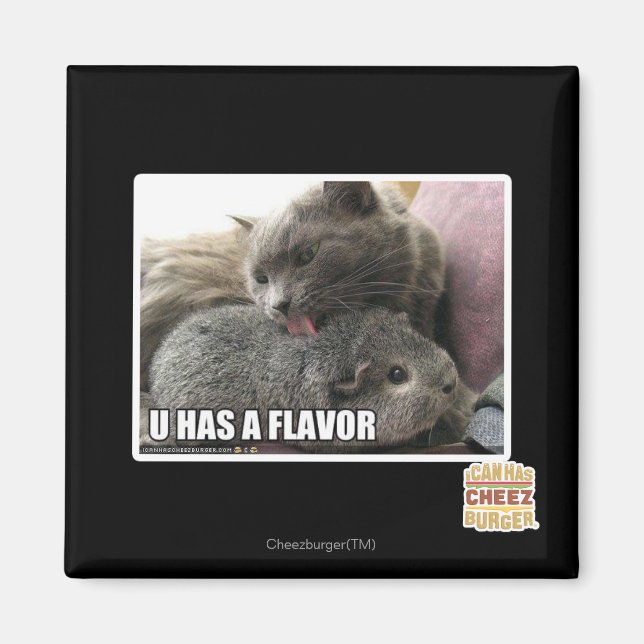 U HAS A FLAVOR MAGNET (Front)