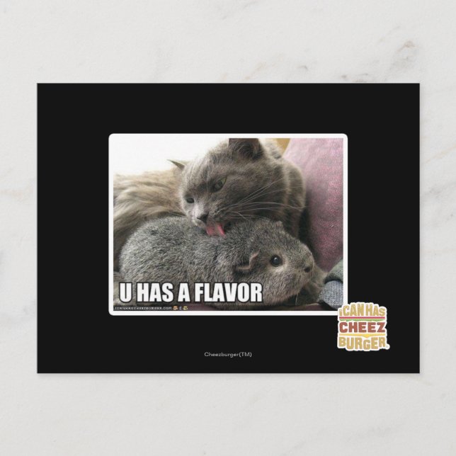 U HAS A FLAVOR POSTCARD (Front)