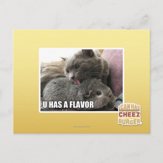 U HAS A FLAVOR POSTCARD (Front)