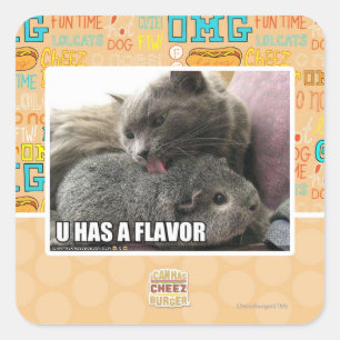 U HAS A FLAVOR SQUARE STICKER