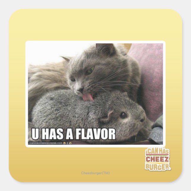 U HAS A FLAVOR SQUARE STICKER (Front)