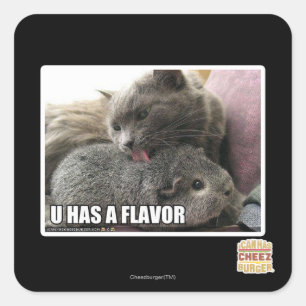 U HAS A FLAVOR SQUARE STICKER