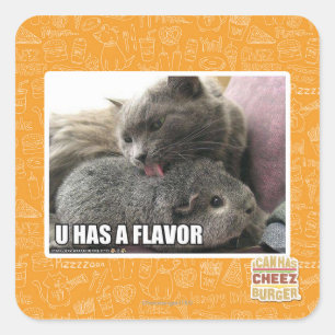 U HAS A FLAVOR SQUARE STICKER