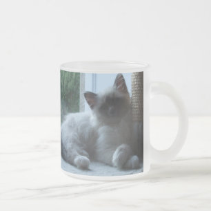U' Onyx Cardiff Baby Blue 018 Frosted Glass Coffee Mug