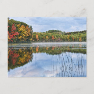 U. P. Michigan Fall Reflections Postcard