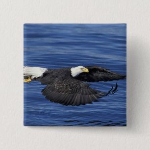 U.S.A., Alaska, Kenai Peninsula Bald eagle 15 Cm Square Badge