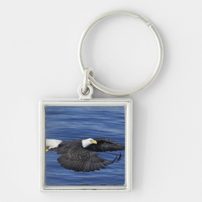 U.S.A., Alaska, Kenai Peninsula Bald eagle Key Ring (Front)