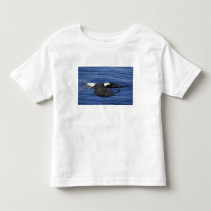 U.S.A., Alaska, Kenai Peninsula Bald eagle Toddler T-Shirt