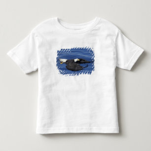 U.S.A., Alaska, Kenai Peninsula Bald eagle Toddler T-Shirt
