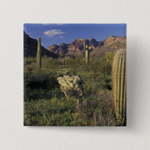 U.S.A., Arizona, Organ Pipe National Monument. 15 Cm Square Badge