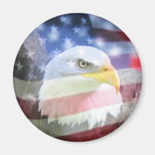 U.S.A. Eagle & Flag Magnet