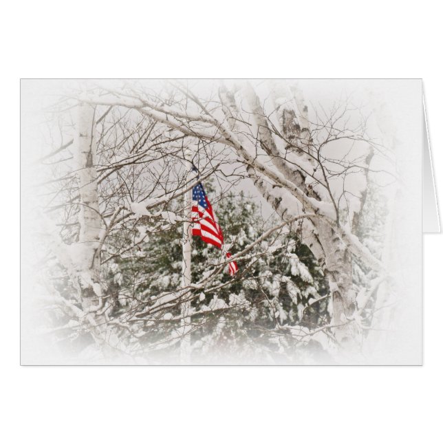 U.S.A. Flag Scene (Front Horizontal)