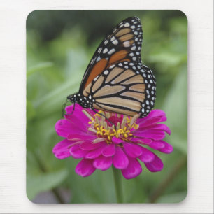 U.S.A., Massachusetts, Boylston, Tower Hill Mouse Mat