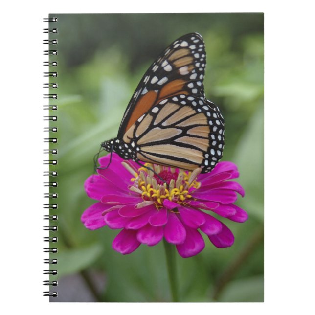 U.S.A., Massachusetts, Boylston, Tower Hill Notebook (Front)