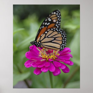 U.S.A., Massachusetts, Boylston, Tower Hill Poster