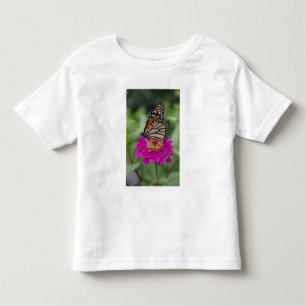 U.S.A., Massachusetts, Boylston, Tower Hill Toddler T-Shirt