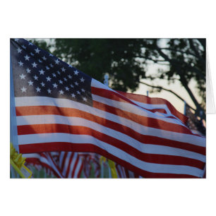 U.S.A Memorial Day Flags Waving in Wind