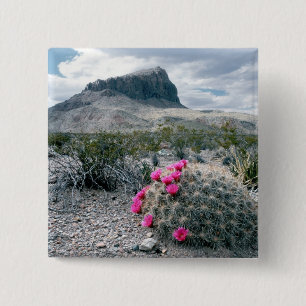 U.S.A., Texas, Big Bend National Park. Blooming 15 Cm Square Badge