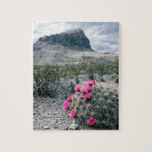 U.S.A., Texas, Big Bend National Park. Blooming Jigsaw Puzzle
