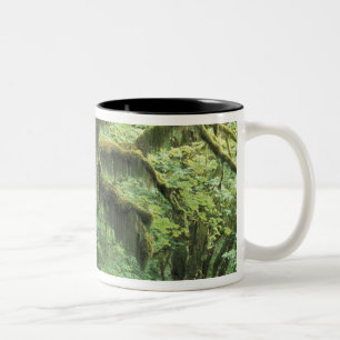 U.S.A., Washington, Olympic National Park. Two-Tone Coffee Mug