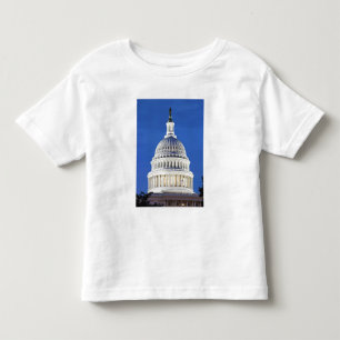 U.S. Capitol dome Toddler T-Shirt