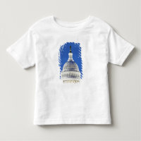 U.S. Capitol dome