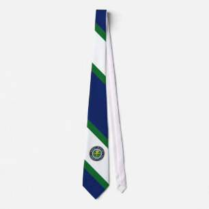 U.S. Federal Aviation Agency Diagonal Striped Tie
