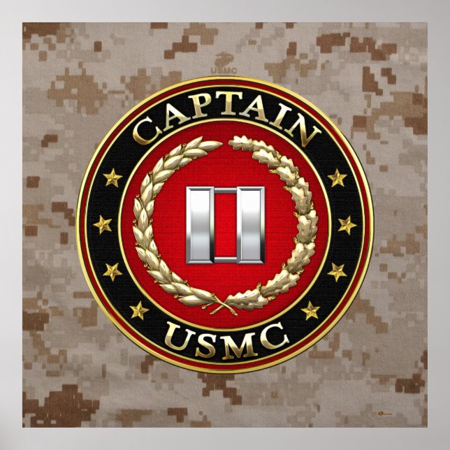 U.S. Marines: Captain (USMC Capt) [3D] Poster (Front)