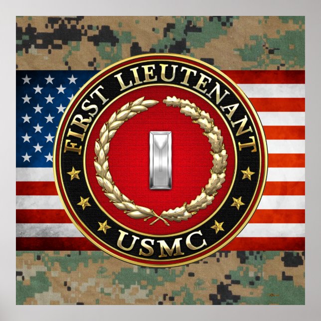U.S. Marines: First Lieutenant (USMC 1stLt) [3D] Poster (Front)