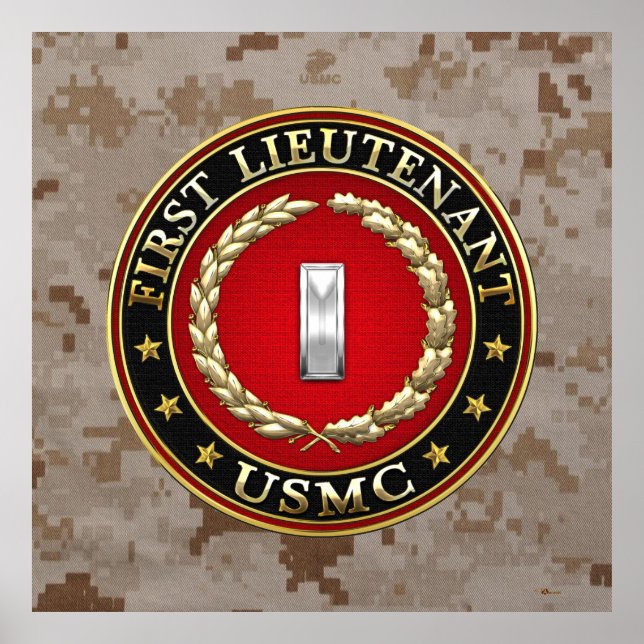 U.S. Marines: First Lieutenant (USMC 1stLt) [3D] Poster (Front)