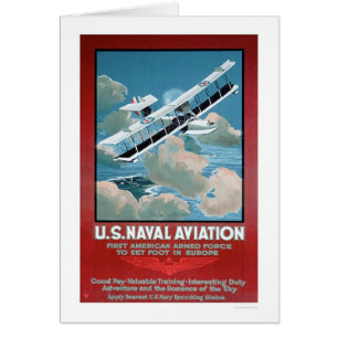 U.S. Naval Aviation (US02304)